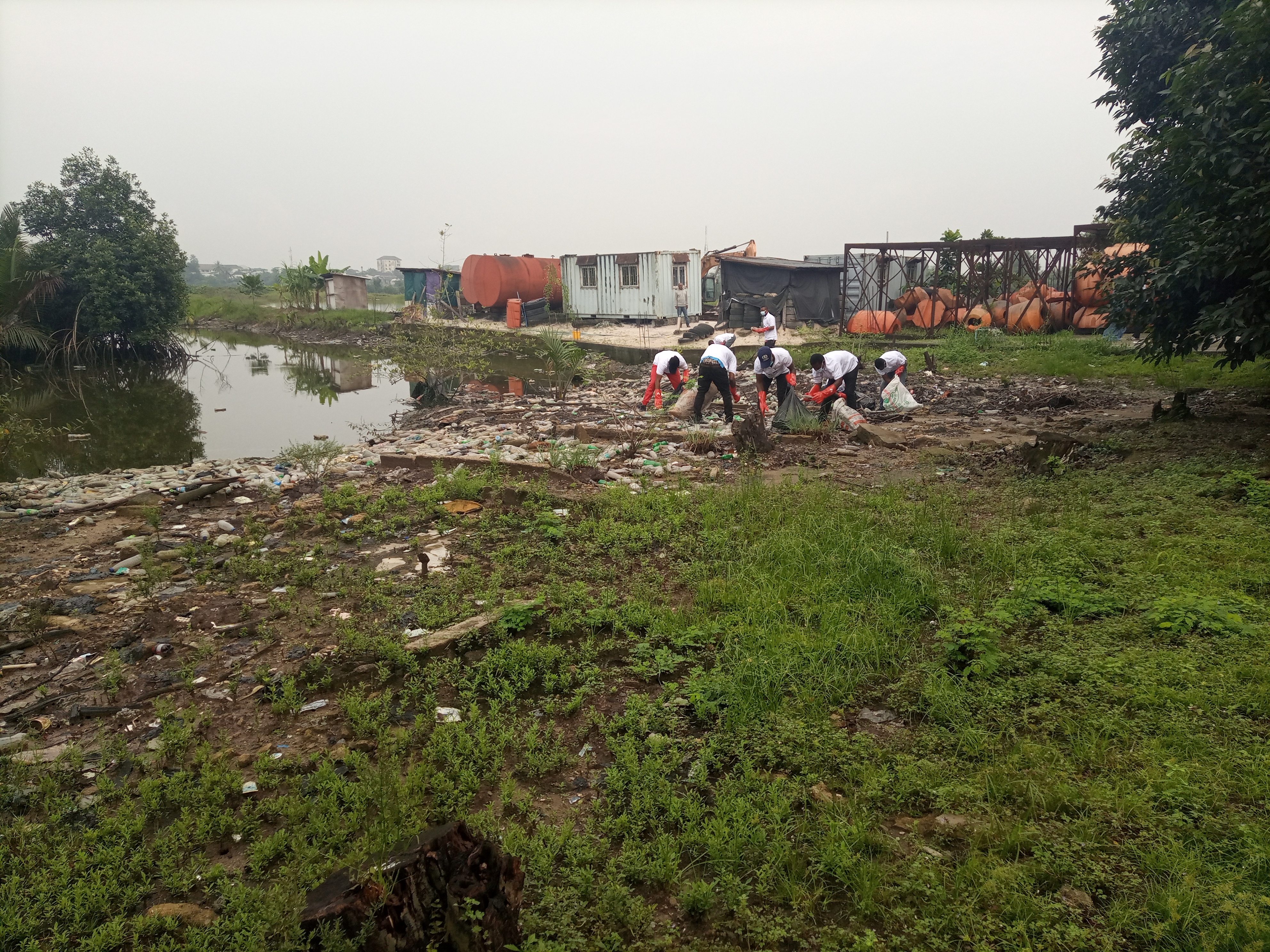 Coastal Restoration Project