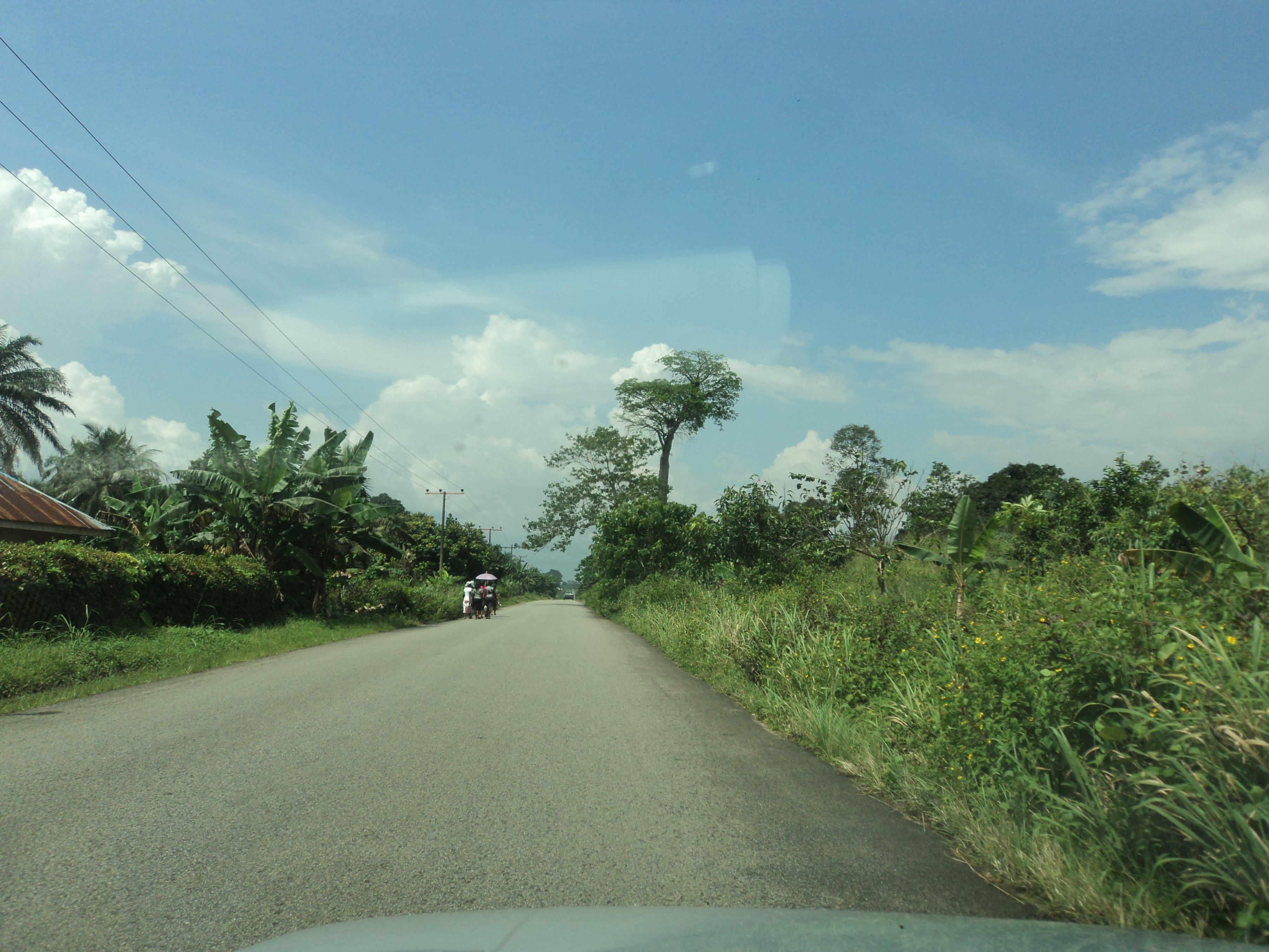 Environmental Impact Assessment