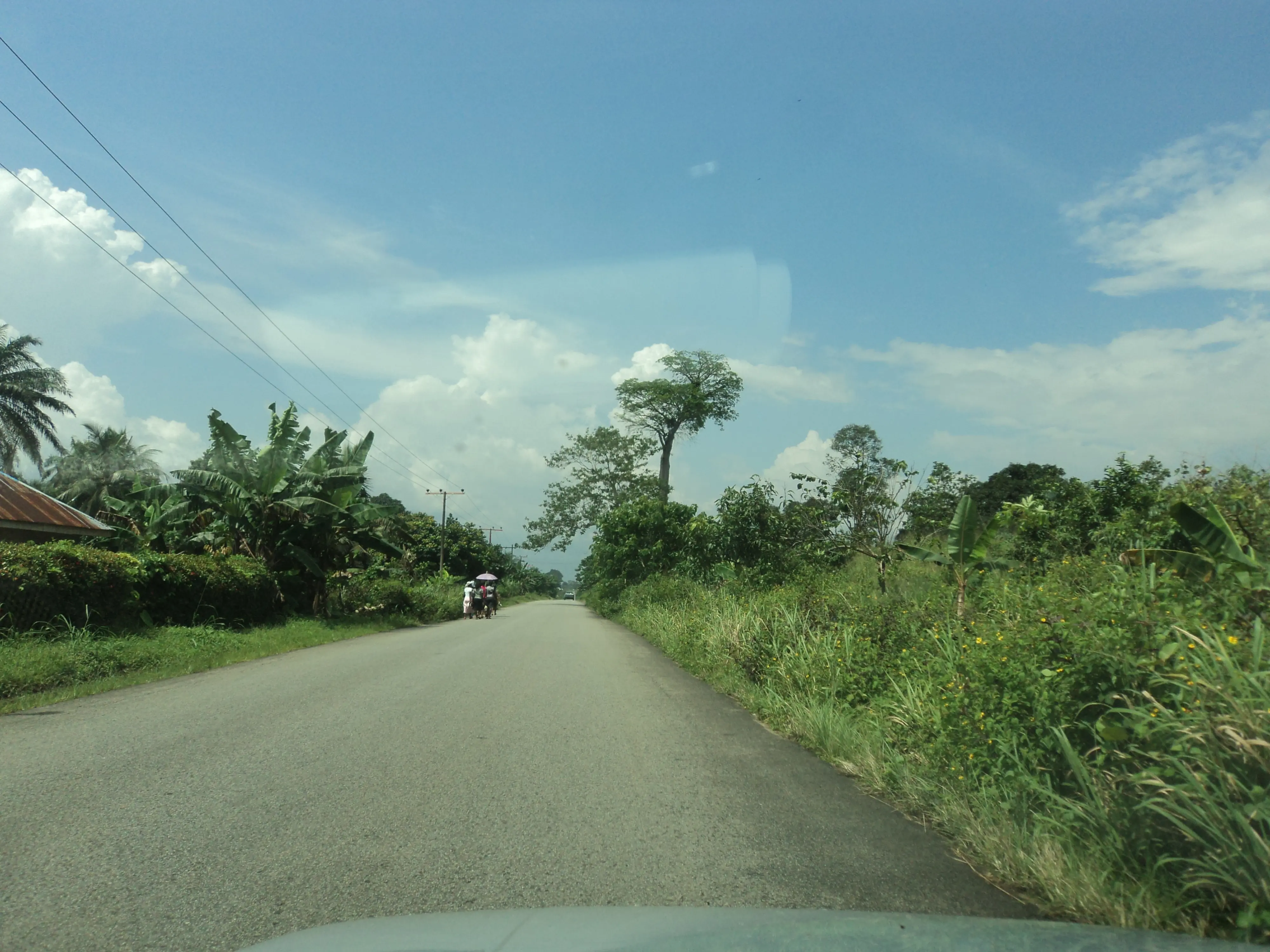 Cleaner Earth Associates International Limited environmental consultants conducting field research and comprehensive data collection for environmental impact assessment